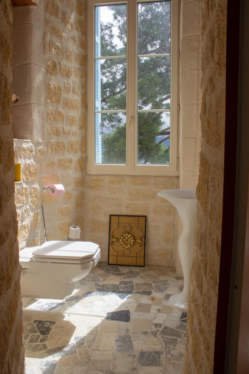 Chateau De Druon Sévignacq-Meyracq Εξωτερικό φωτογραφία