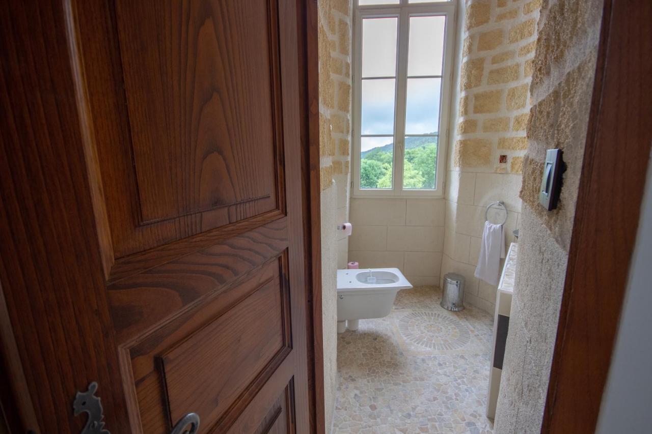 Chateau De Druon Sévignacq-Meyracq Εξωτερικό φωτογραφία